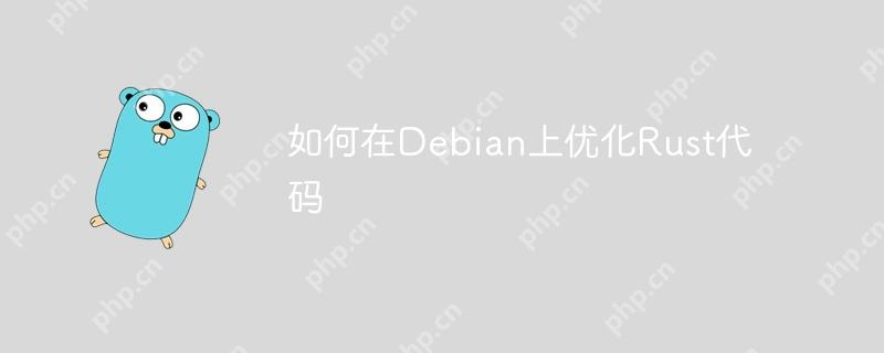 如何在Debian上优化Rust代码