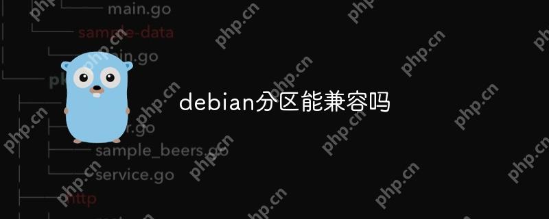 debian分区能兼容吗