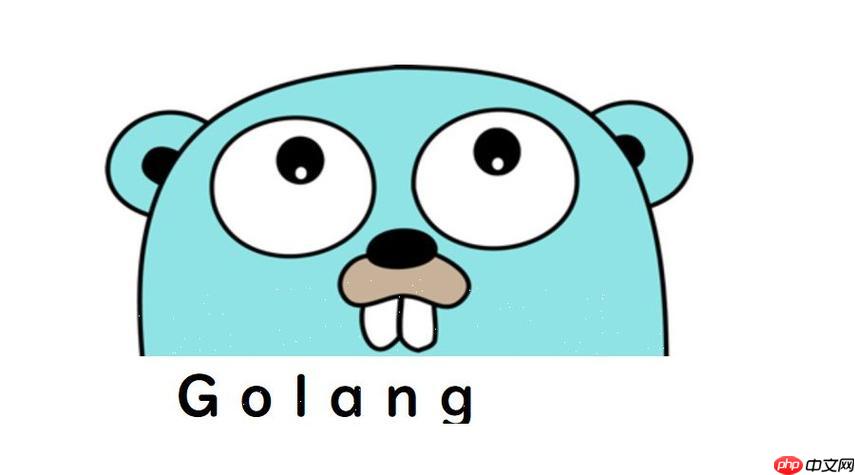 Go 语言在处理大文件时，怎样避免内存溢出等问题？