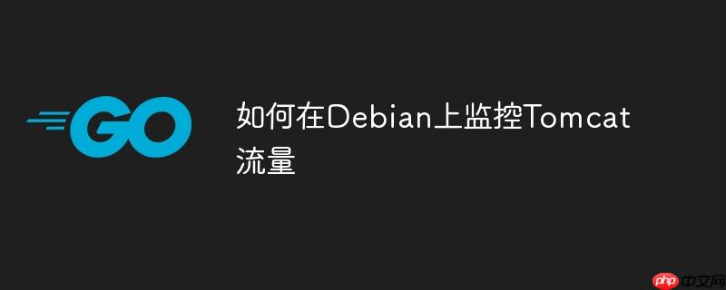如何在Debian上监控Tomcat流量