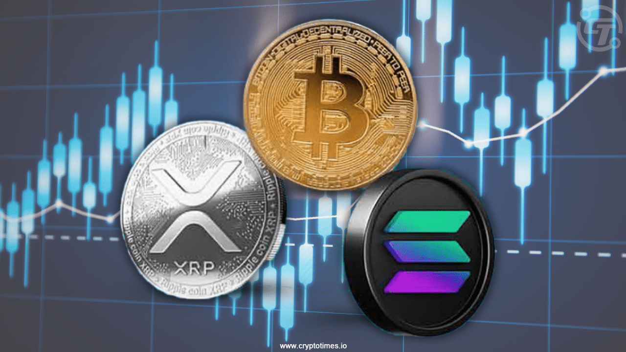 5月30日原来是加密交易者的五月天呼吁