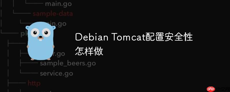 Debian Tomcat配置安全性怎样做