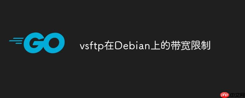 vsftp在Debian上的带宽限制
