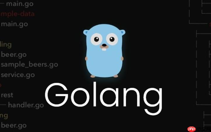 解析 Go 语言中结构体嵌套与匿名字段的常见使用问题