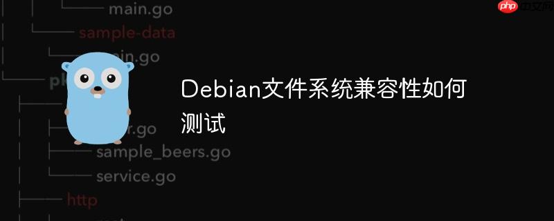 Debian文件系统兼容性如何测试