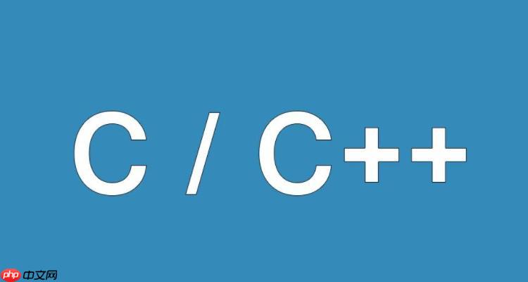 什么是C++中的代码风格指南？