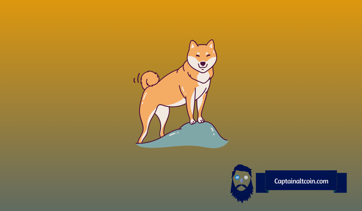 狗狗（Doge）价格可以上涨多高？该图表提供了线索