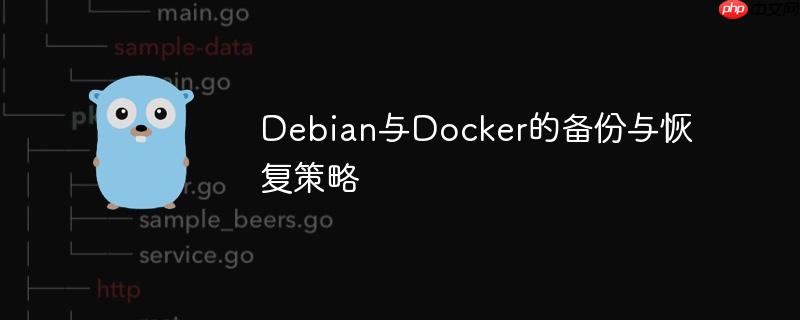 Debian与Docker的备份与恢复策略