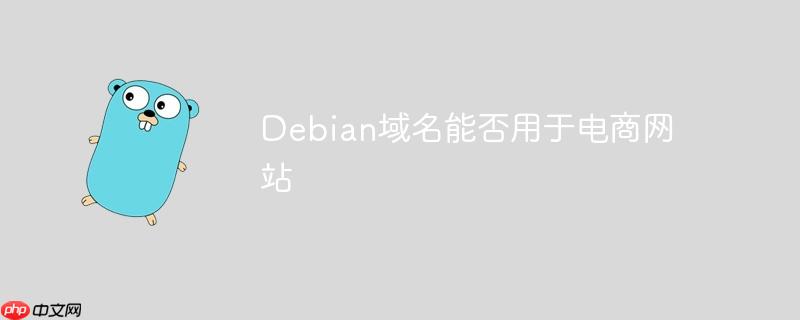 Debian域名能否用于电商网站