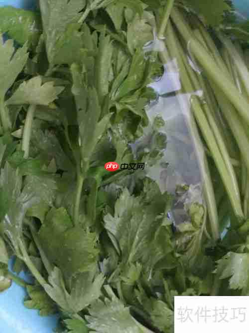 健美食谱：芹菜炒鸭肉的做法