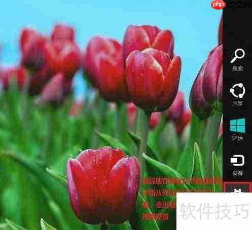 Win8中用摄像头拍摄账户头像