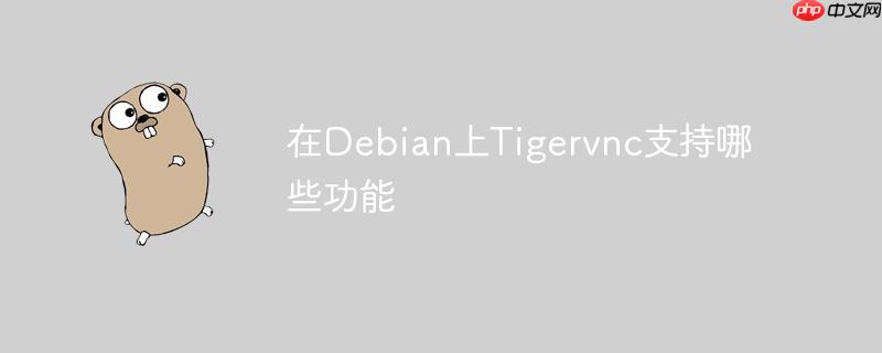 在Debian上Tigervnc支持哪些功能
