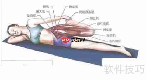 改善健美腰：针对性训练与调整方法
