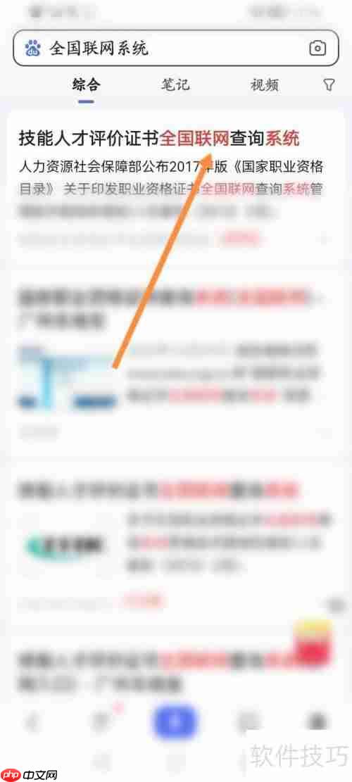 全国联网查询系统：如何进行查询操作