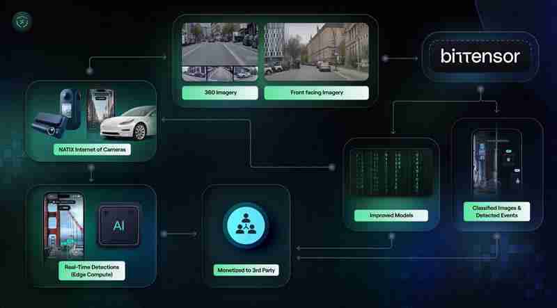 2025年6月TAO币价格分析及价格预测