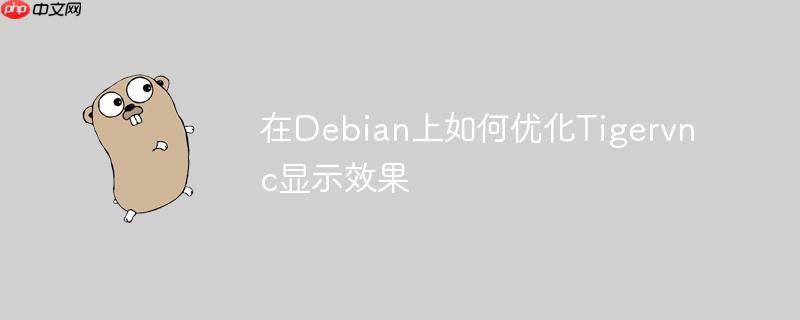 在Debian上如何优化Tigervnc显示效果