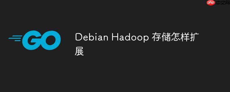 Debian Hadoop 存储怎样扩展