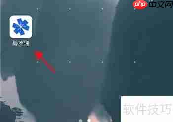 粤商通APP：小微企业数据库信息查询指南