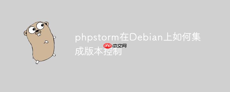 phpstorm在Debian上如何集成版本控制