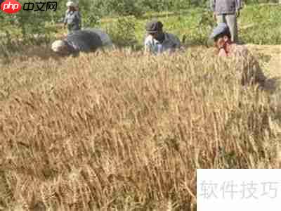 麦田怪圈之谜：外星人杰作还是人类恶作剧？
