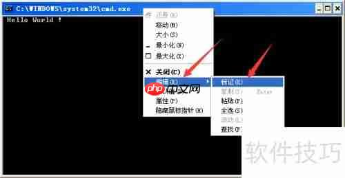 Turbo C 2.01完美教程：从入门到精通
