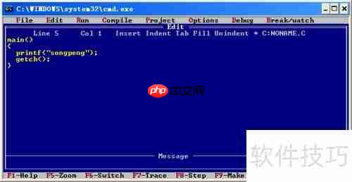 Turbo C 2.01完美教程：从入门到精通