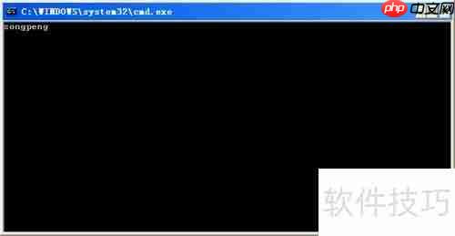 Turbo C 2.01完美教程：从入门到精通