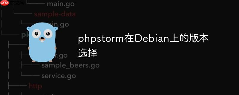 phpstorm在Debian上的版本选择