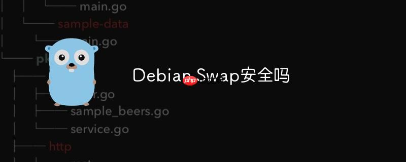 Debian Swap安全吗