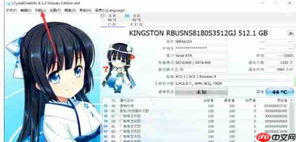 CrystalDiskInfo怎么设置自动刷新对象-CrystalDiskInfo设置自动刷新对象的方法