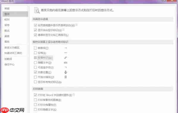 word 2016怎么去掉段落标记-word 2016去掉段落标记的方法