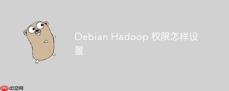 Debian Hadoop 权限怎样设置