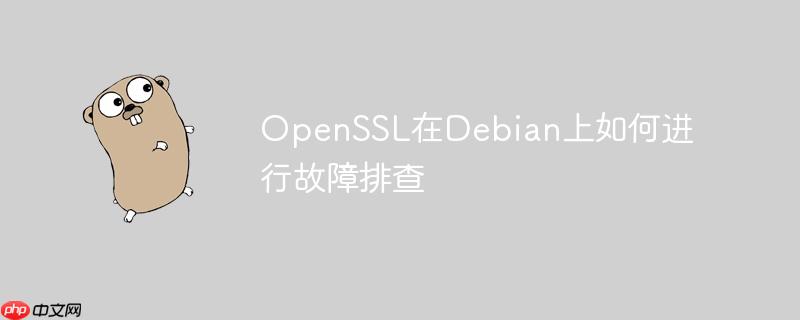 OpenSSL在Debian上如何进行故障排查