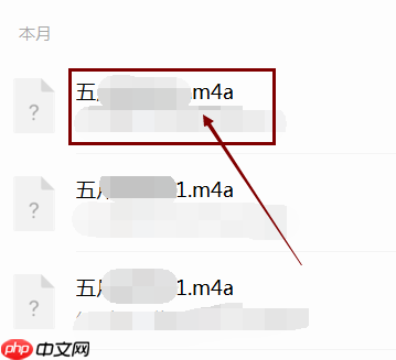 微信电脑版怎么查看音频文件位置-查看音频文件位置的方法