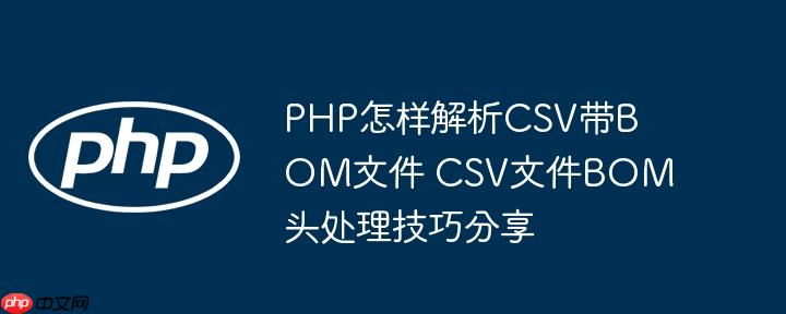 PHP怎样解析CSV带BOM文件 CSV文件BOM头处理技巧分享