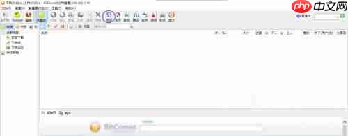 比特彗星如何取消自动登录通行证-取消自动登录通行证的方法