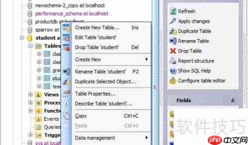 Maestro导出PDF格式数据库表报告的方法