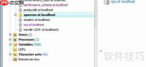 Maestro导出PDF格式数据库表报告的方法