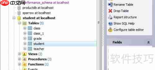 Maestro导出PDF格式数据库表报告的方法