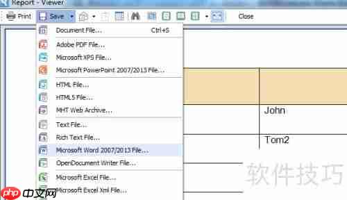 DBe Master生成数据库表WORD报表的方法