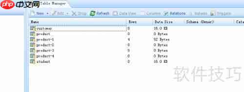 DBe Master生成数据库表WORD报表的方法