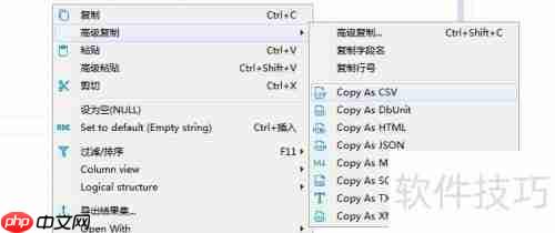 DBeaver导出数据库表记录为TXT格式的方法