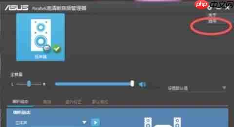 Realtek 高清音频管理器怎么设置隐藏-Realtek 高清音频管理器设置隐藏的方法