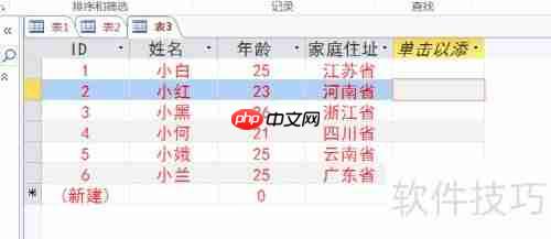 Access数据库入门：设置字体格式教程