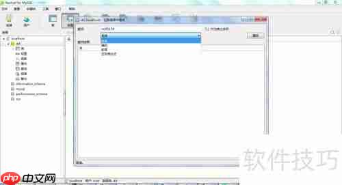 Navicat如何对数据库全表进行搜索