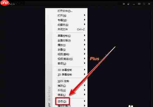 kmplayer plus怎么全屏？kmplayer plus全屏播放的方法