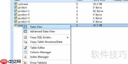 DB Master生成数据库表的mdc格式报表方法