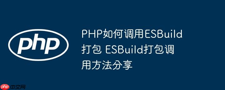PHP如何调用ESBuild打包 ESBuild打包调用方法分享