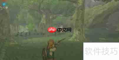 塞尔达传说：荒野之息电脑版玩法教程