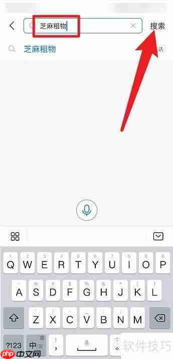 支付宝租手机靠谱吗？这些问题你得先清楚！